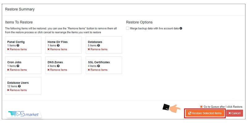 Restore Selected Items